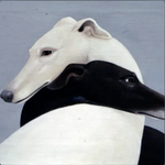 June 2022 playlist image