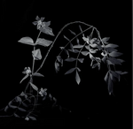 May 2024 playlist image