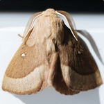 October 2025 playlist image