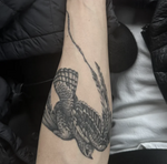 March 2026 playlist image